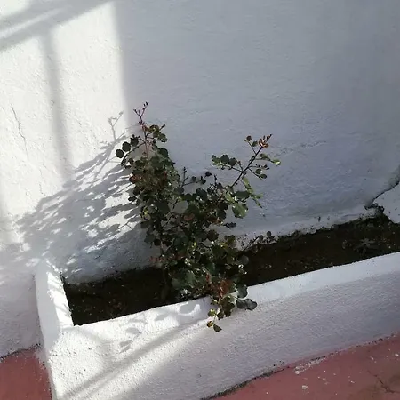 Casa Cueva El Algarrobo